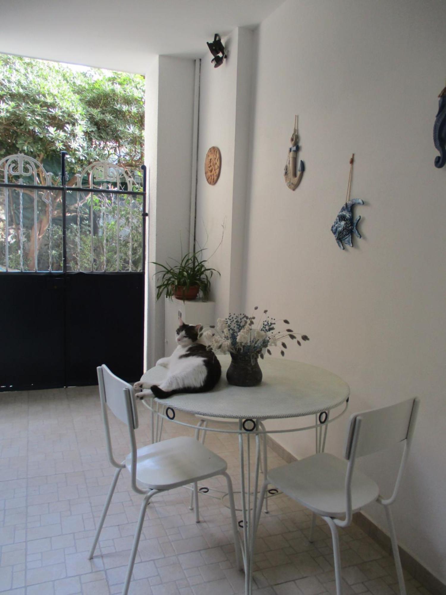La Casa Del Nespolo Tranquillo Vicino Stazione Apartment *